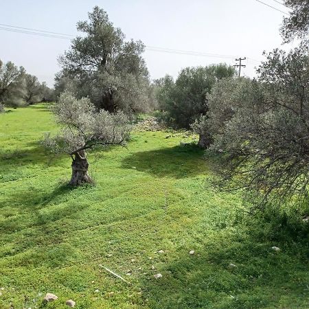 Villa Pitsidia Hills Εξωτερικό φωτογραφία
